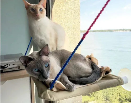 Amaca da Finestra per Gatti – Letto Sospeso Resistente e Comodo