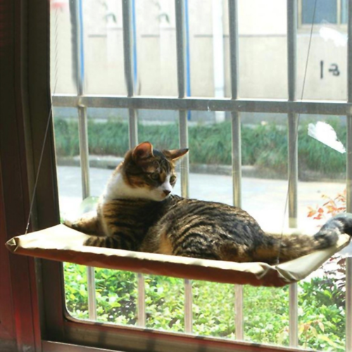 Amaca da Finestra per Gatti – Letto Sospeso Resistente e Comodo