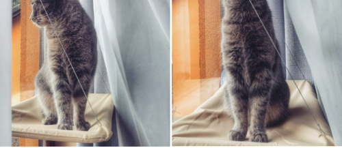 Amaca da Finestra per Gatti – Letto Sospeso Resistente e Comodo